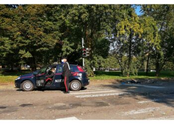 Carabinieri verificano se avesse seguito vittima durante jogging