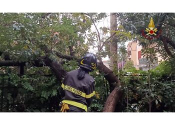 Protezione civile