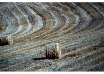 Incidente nell'azienda agricola di famiglia