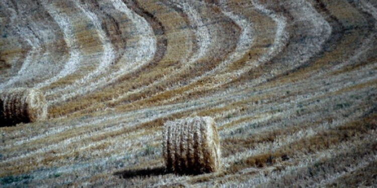 Incidente nell'azienda agricola di famiglia