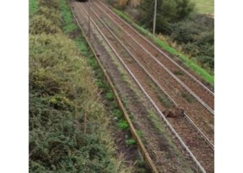 Incidente sulla linea Cotral per Viterbo