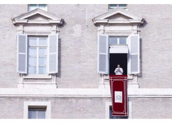 Nuovo appello di Francesco all'Angelus per la fine della guerra