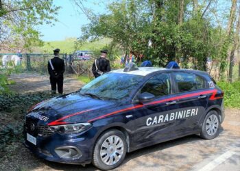 Bloccata mentre faceva jogging e trascinata in un boschetto