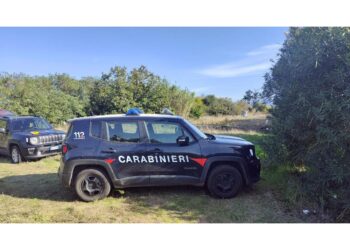 Carabinieri proseguono negli interrogatori e controlli