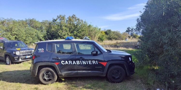 Carabinieri proseguono negli interrogatori e controlli