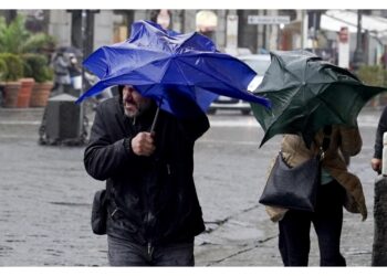 Protezione civile