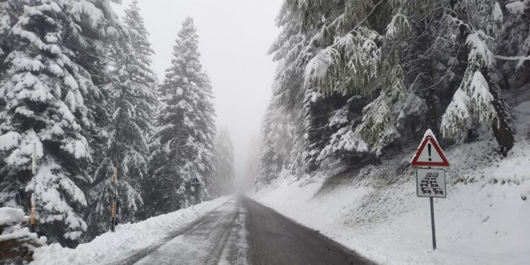 20 e i 40 cm di neve fresca oltre gli 800 metri