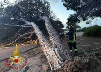 Interventi Vigili del Fuoco nel Cagliaritano e nel Sassarese