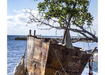 Alla deriva nei Caribi su una barca a vela