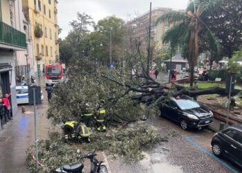 Sfiorate tragedie in due zone molto trafficate