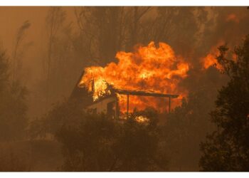 Decine i roghi ancora attivi nel sud del Paese