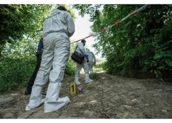 Era in un campo al confine tra le province di Mantova e Brescia