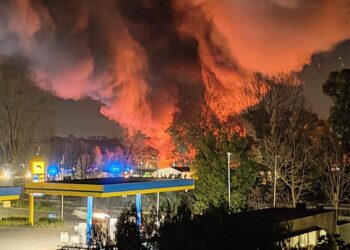 "Appare possibile la natura dolosa delle fiamme"