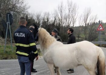 Fermata nel narnese dopo che aveva creato intralci al traffico