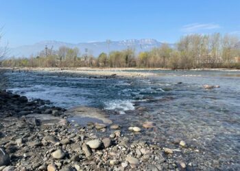 In cinque mesi non ho certo prosciugato l'Adige