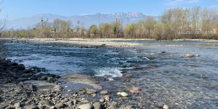 In cinque mesi non ho certo prosciugato l'Adige