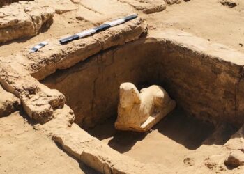 Nel sito di Dendera. Potrebbe raffigurare l'imperatore Claudio