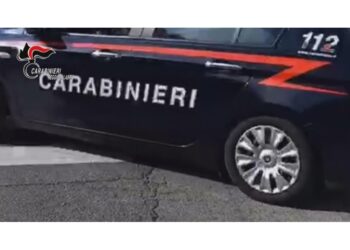 Operazione dei carabinieri coordinata dalla Procura di Palmi