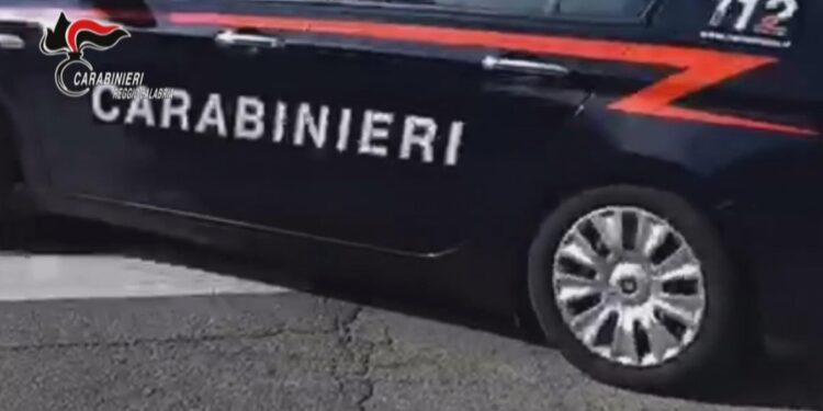 Operazione dei carabinieri coordinata dalla Procura di Palmi