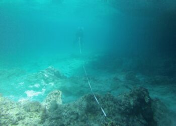 Al largo di un santuario marino