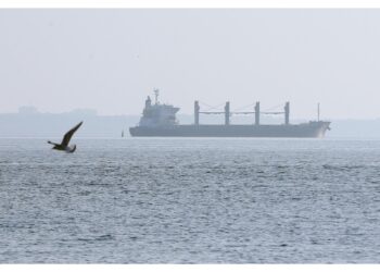 Alto Rappresentante: 'Ferme nel Mar Nero'