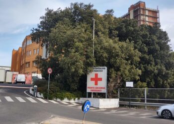 La 22enne romana era ricoverata a Nuoro in gravissime condizioni