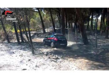 Nel Napoletano anche in area protetta del Parco del Vesuvio