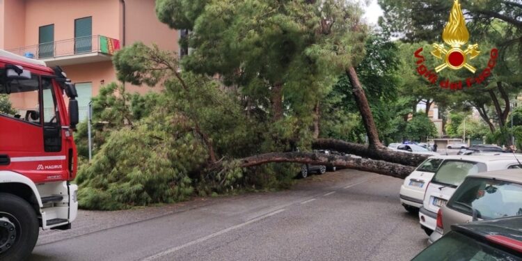 Tecnici valutano eventuali danni a linea elettrica