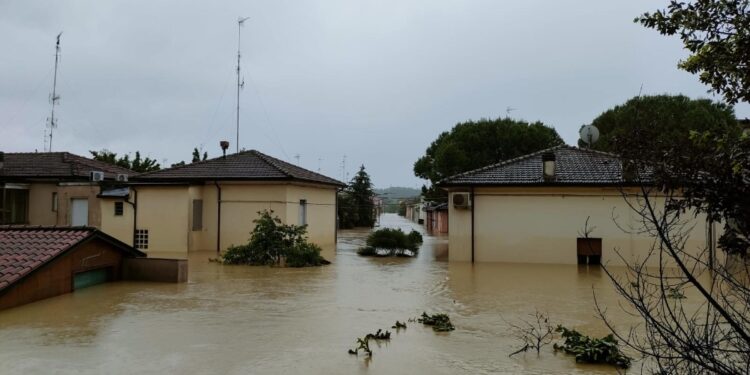 A Faenza ci sono zone che si raggiungono solo con la barca