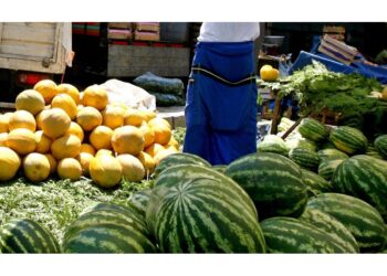 Detenuti due giorni a Torino per una cassetta di frutta marcia