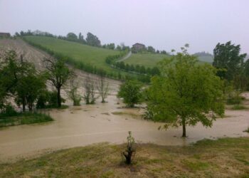 Decisione del sindaco. Da oggi pomeriggio chiusi i passi a mare