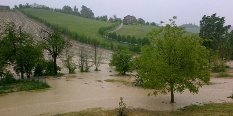 Decisione del sindaco. Da oggi pomeriggio chiusi i passi a mare