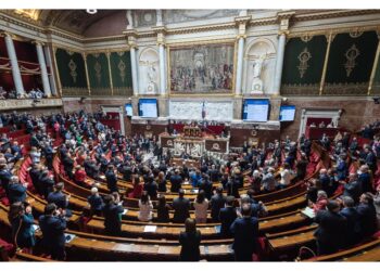 Voto unanime dell'Assemblea nazionale sui mercenari russi