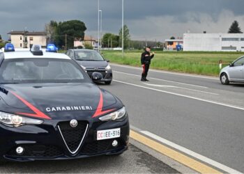 Trovati dai carabinieri durante un controllo