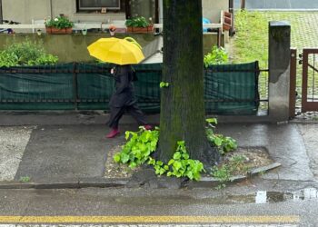 Dopo le precipitazioni dei giorni scorsi