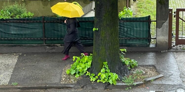 Dopo le precipitazioni dei giorni scorsi