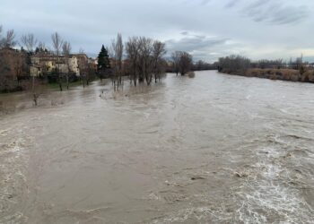 In particolare nel Bolognese e nella pianura romagnola