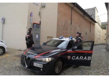 L'uomo è stato bloccato con il taser dai carabinieri nel Pavese