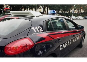 Indagine Arma su sodalizio ritenuto vicino al clan Pistillo