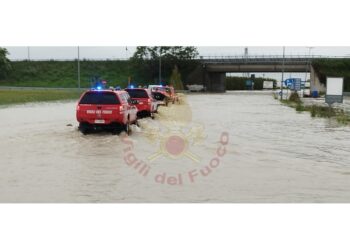 Da questa mattina all'opera nei territori di Forlì-Cesena