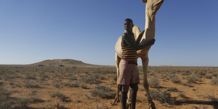 Nel 2023 malnutrizione acuta per 700 mila bimbi sotto i 5 anni