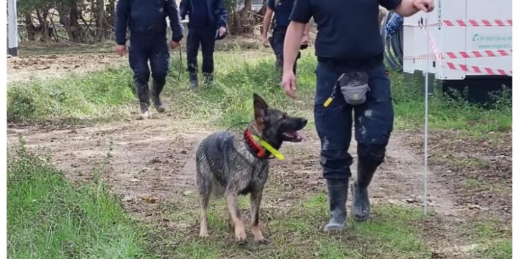 In corso lo svuotamento del terzo laghetto a Trecastelli