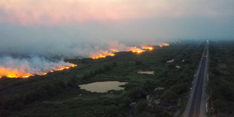 Gli incendi sono però diminuiti del 26% rispetto all'anno scorso