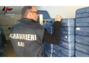 Accertamenti di carabinieri e Asl. Ieri 7 operatori arrestati