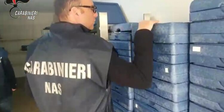 Accertamenti di carabinieri e Asl. Ieri 7 operatori arrestati