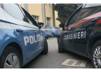 Operazione carabinieri e polizia coordinati da Dda di Catanzaro