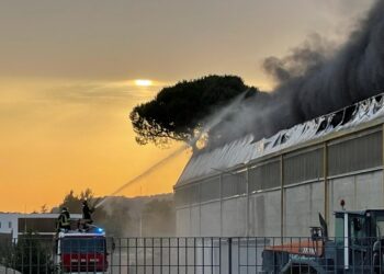 Dalle fiamme si alza una grande colonna di fumo