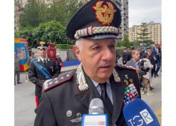 Comandante carabinieri: 'microcriminalità è problema nazionale'