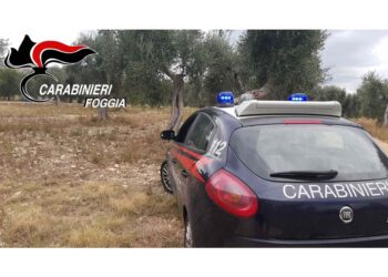 Indagano i carabinieri