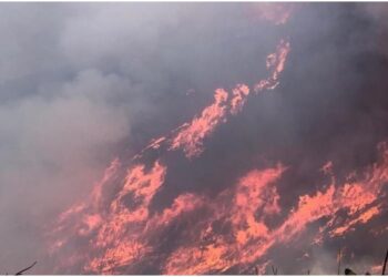 Le fiamme hanno raggiunto la casa di campagna in cui viveva